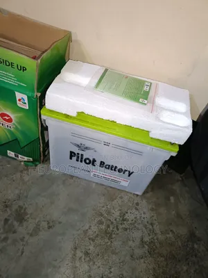 155ah Pilot Power Battery Used