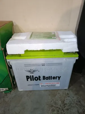 155ah Pilot Power Battery Used