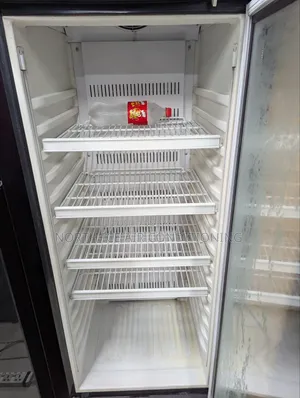 Singer Beverage Cooler 250 Ltr.