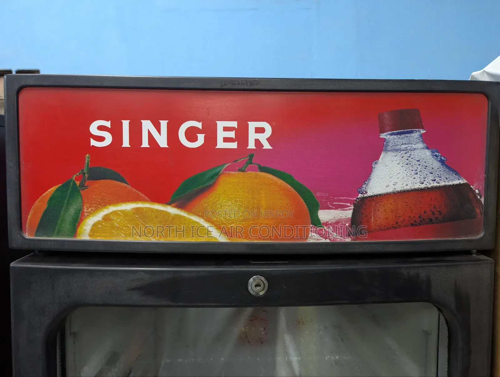 Singer Beverage Cooler 250 Ltr.