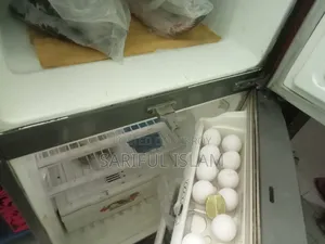 Walton Fridge
