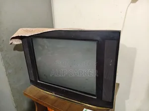 Television