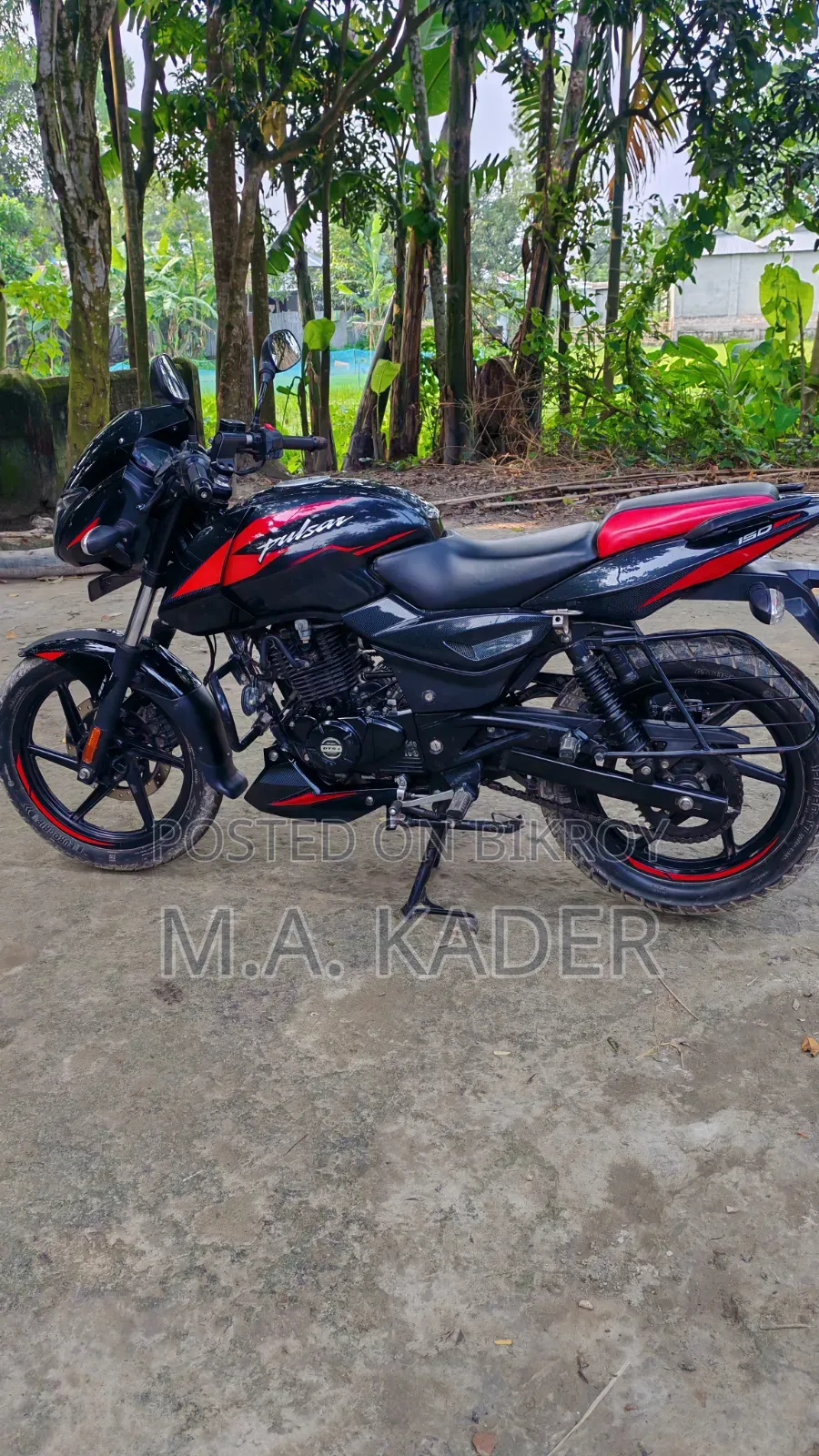 Pulser Double Disk Abs