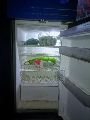 Selling a like-new fridge for this heat