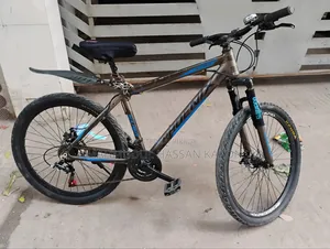 Phoenix Aluminium Body