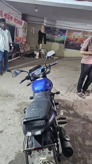 Bajaj Pulsar 150 2013 Blue