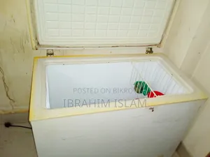 Singer Deep Freezer for Sale