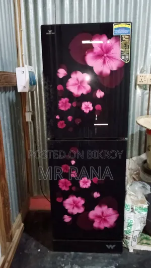 Selling fridge for money