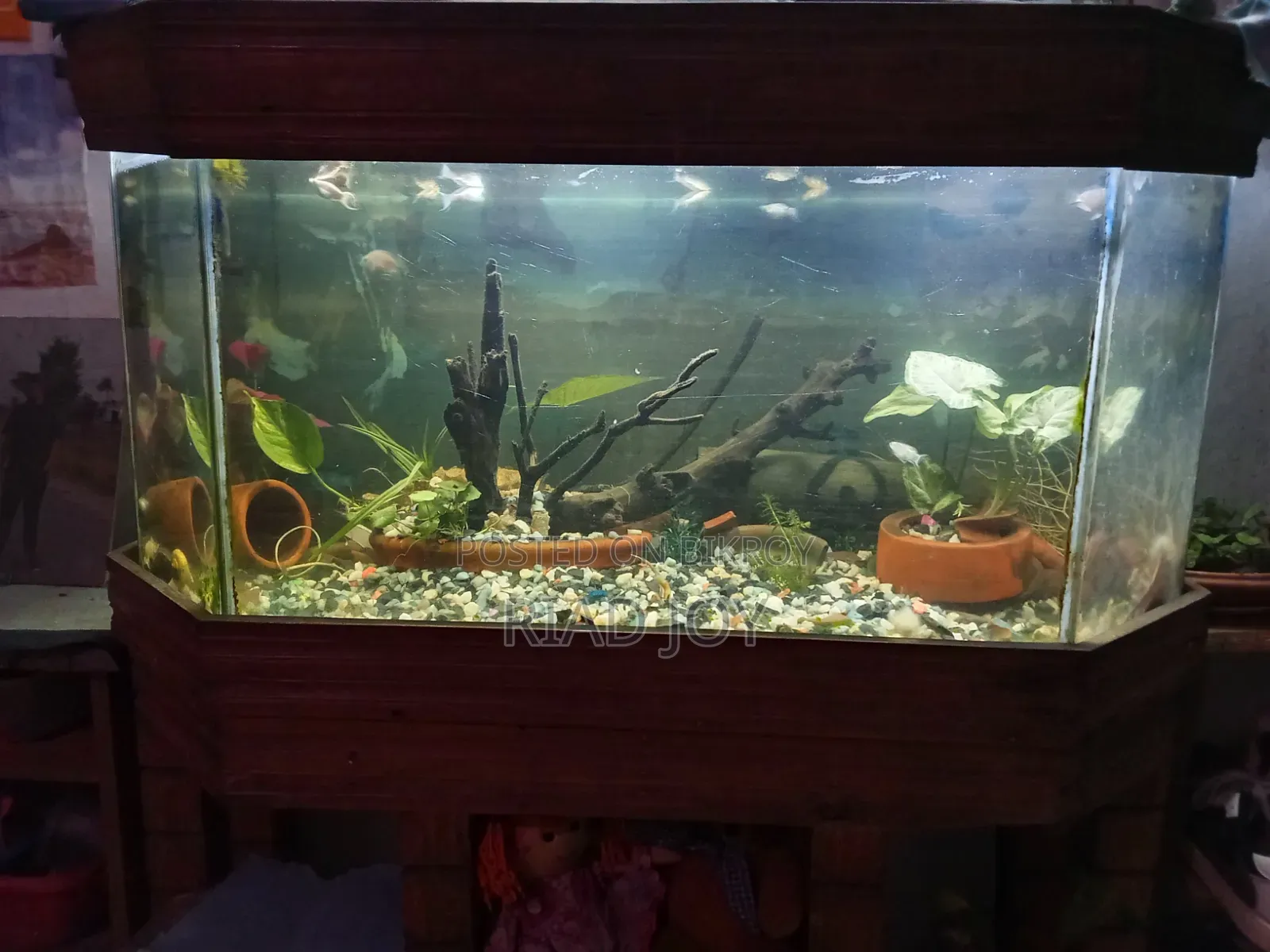 4 Feet Aquarium