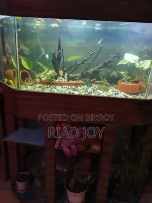 4 Feet Aquarium