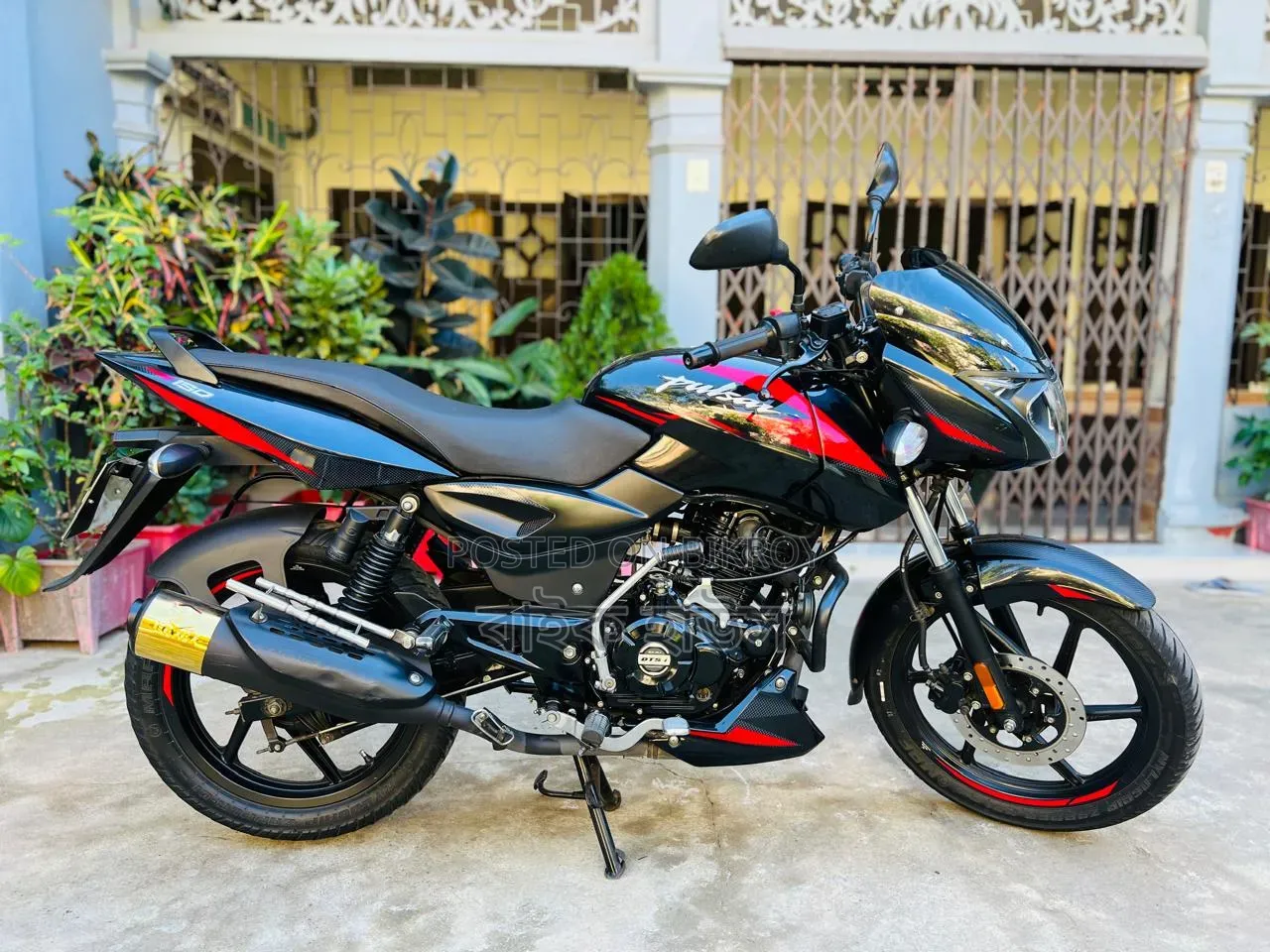 Bajaj Pulsar 150 2024 Black
