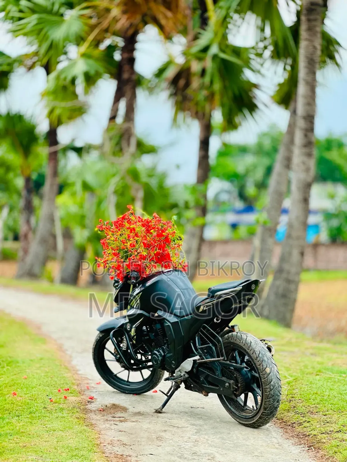 Yamaha FZ 2024 Black