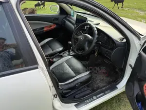 Nissan Sunny 2004 Pearl