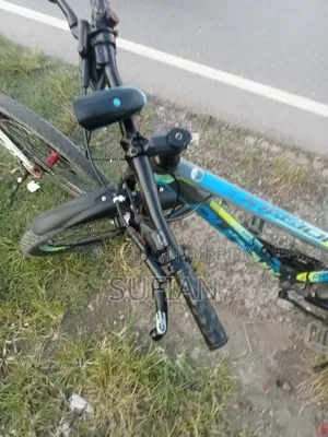 Phoenix Kubo Pro Oil Brake Bicycle