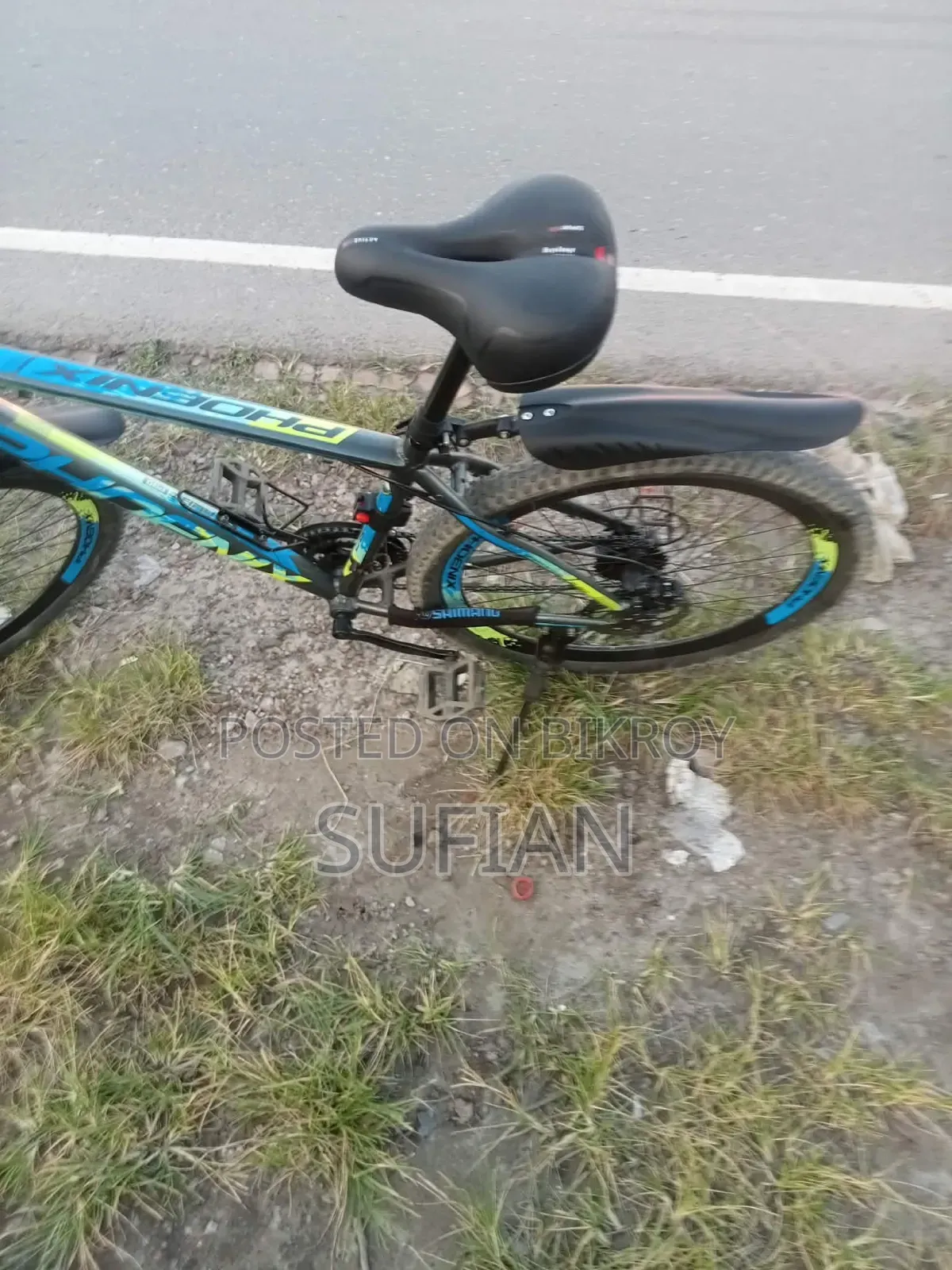Phoenix Kubo Pro Oil Brake Bicycle