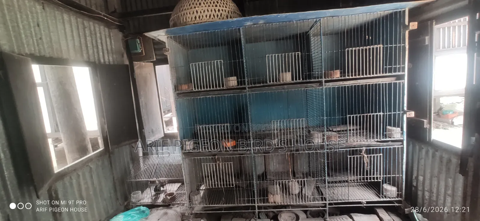বার্ড কেজ সেল