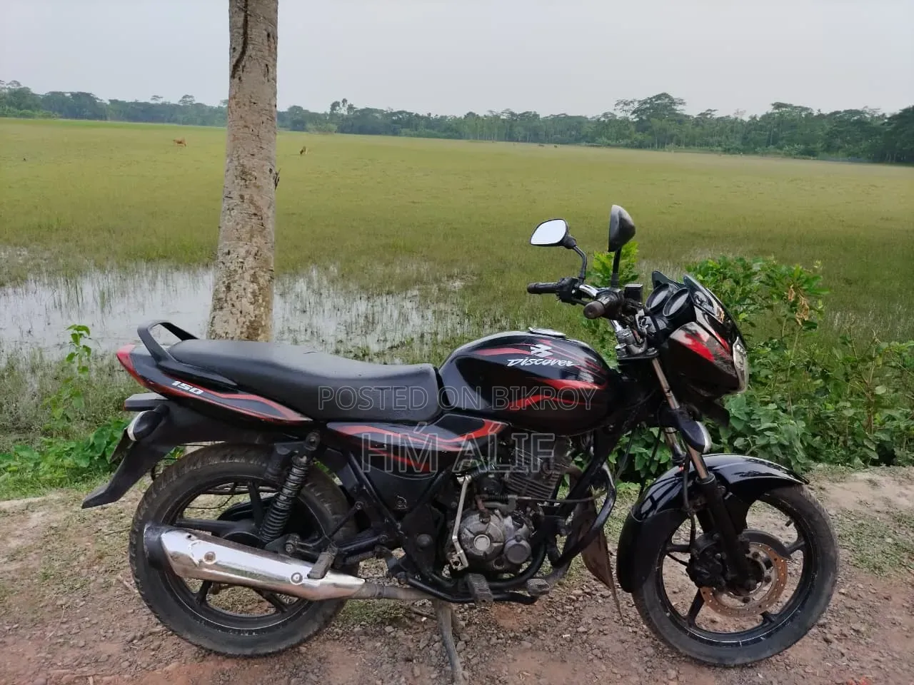 Bajaj Discover 150 2014 Red