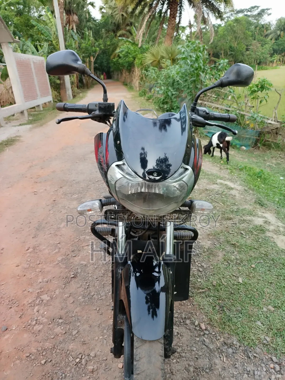 Bajaj Discover 150 2014 Red