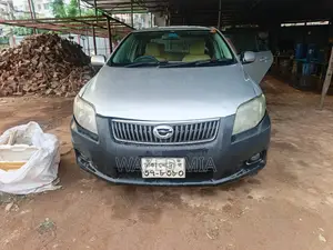 Toyota Axio 2009 Silver