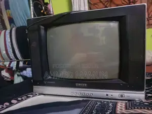 Singer 14 Inch TV