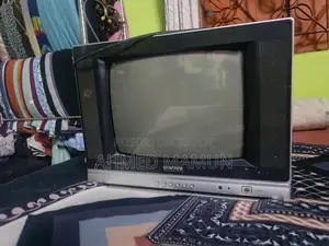 Singer 14 Inch TV
