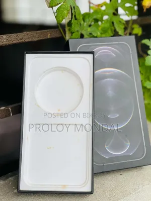 অ্যাপল আইফোন ১২ প্রো ২৫৬ জিবি হোয়াইট