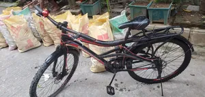 Cycle 26 Inch