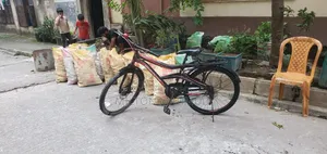 Cycle 26 Inch