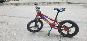 Jumbo Cycle