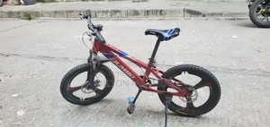Jumbo Cycle