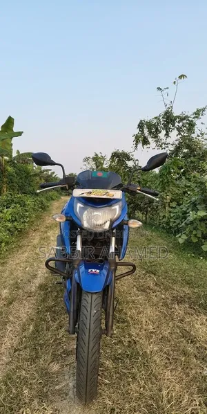 TVS Apache RTR 160 4V 2019 Blue