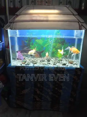 Aquarium with fish
