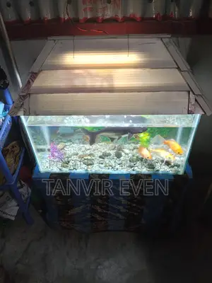 Aquarium with fish