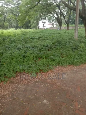 Land Buying and Selling