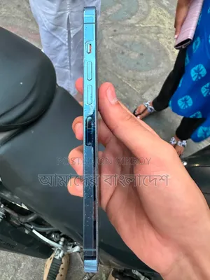 অ্যাপল আইফোন ১৩ প্রো ম্যাক্স ২৫৬ জিবি ব্লু