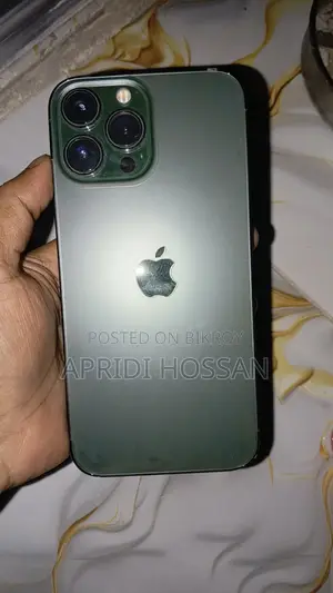 Apple iPhone 13 Pro Max 256 GB Green