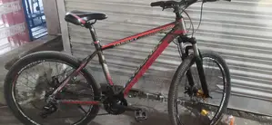 Cycle Phoenix Target