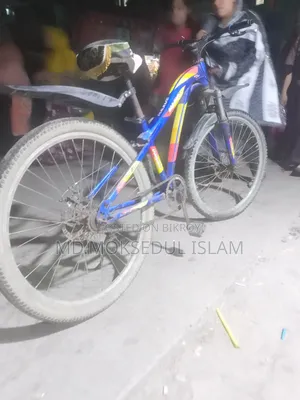 I will sell this bicycle.