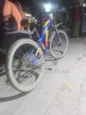 I will sell this bicycle.