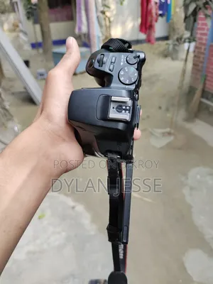 Body200dmark201739059554