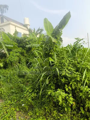 Sector:25, Prime Location 3 Katha Plot Urgent Sale, Purbachal.
