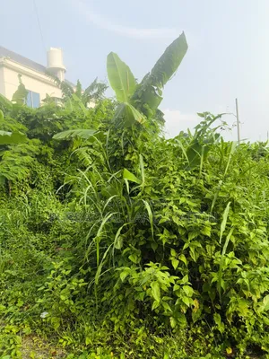 Sector: 25, Prime Location 3 Katha Plot Urgent Sale, Purbachal.