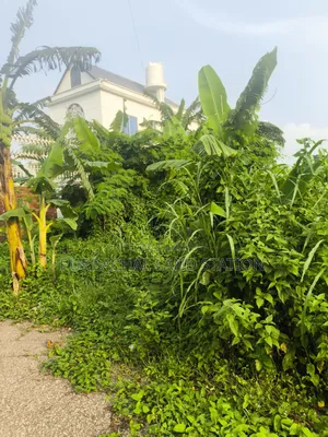 Sector: 25, Prime Location 3 Katha Plot Urgent Sale, Purbachal.