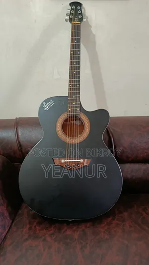 গিটার (Rogue Signature)