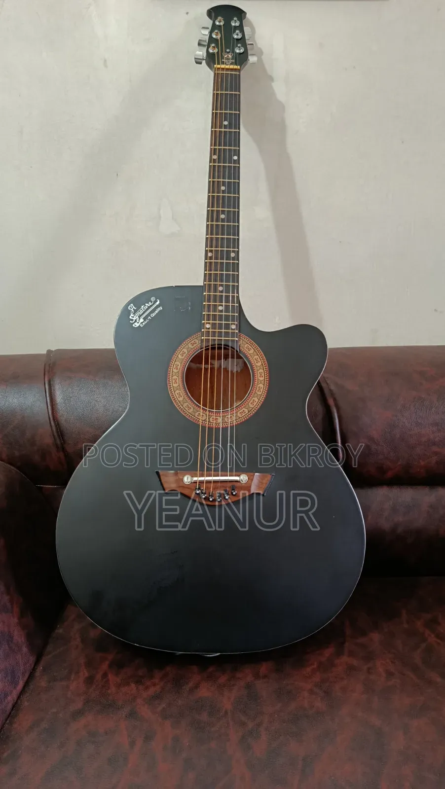 গিটার (Rogue Signature)