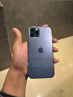 অ্যাপল আইফোন ১২ প্রো ২৫৬ জিবি গ্রে