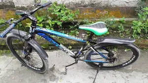Bicycle (Phoenix)