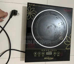 Electronic Stove