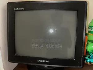 Computer Monitor