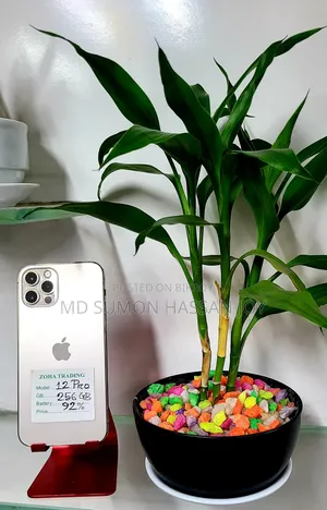 Apple iPhone 12 Pro 256 GB White